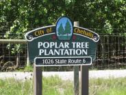 Poplar Tree Plantation - Chehalis, Washington