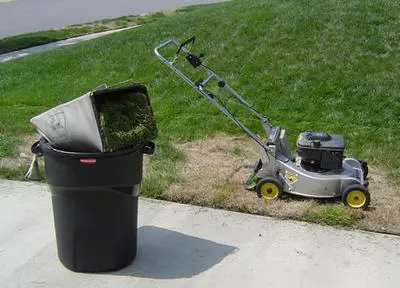 Organic Dump