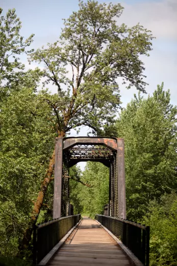 Willapa Trail- Photo by The Chronicle